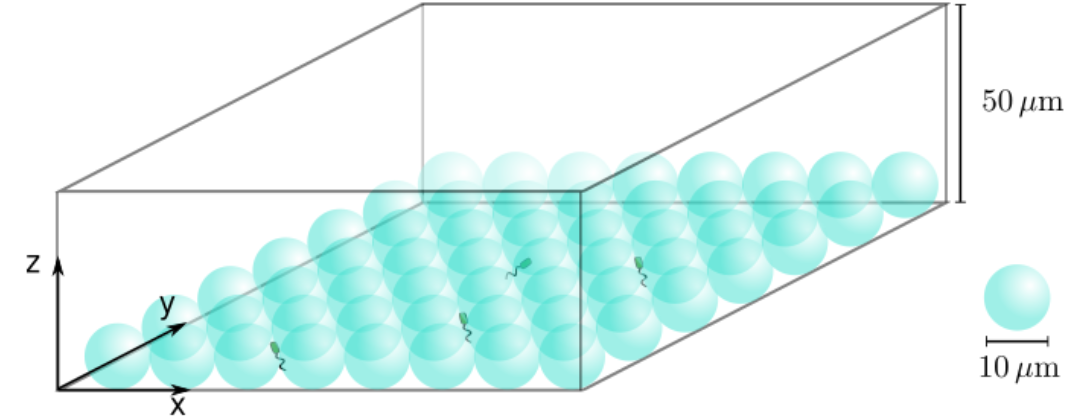 porous media setup